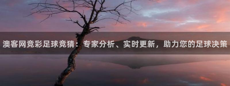 彩客网体育3：澳客网竞彩足球竞猜：专家分析、实时更新，助力您的足球决策