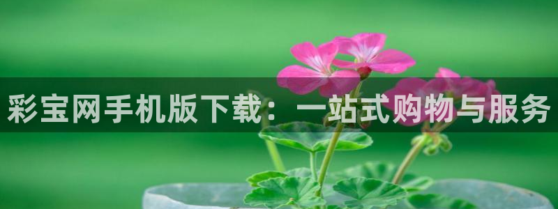 彩客网体育凯捷平台招商：彩宝网手机版下载：一站式购物与服务