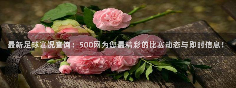 佛山市南海彩客网机电仪器有限公司：最新足球赛况查询：500网为您最精彩的比赛动态与即时信息！