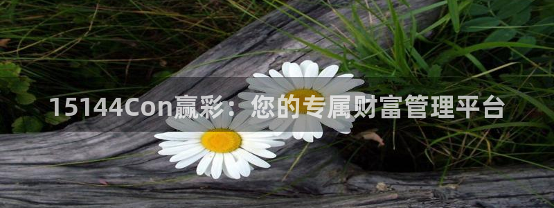 彩客网体育凯捷平台注册：15144Con赢彩：您的专属财富管理平台