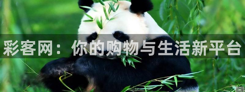 彩客网体育官网入口登录：彩客网：你的购物与生活新平台