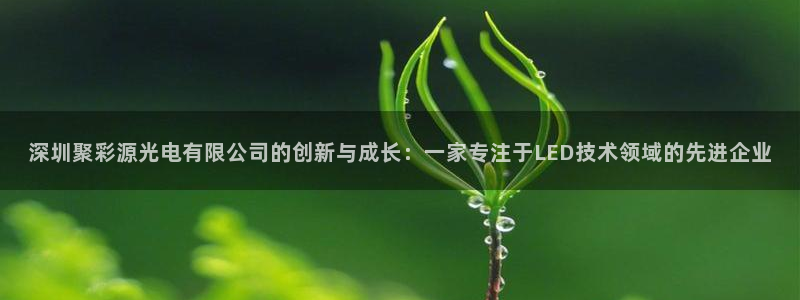 彩客网官网入口：深圳聚彩源光电有限公司的创新与成长：一家专注于LED技术领域的先进企业