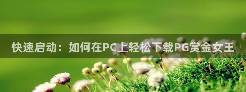 彩客网平台：快速启动：如何在PC上轻松下载PG赏金女王